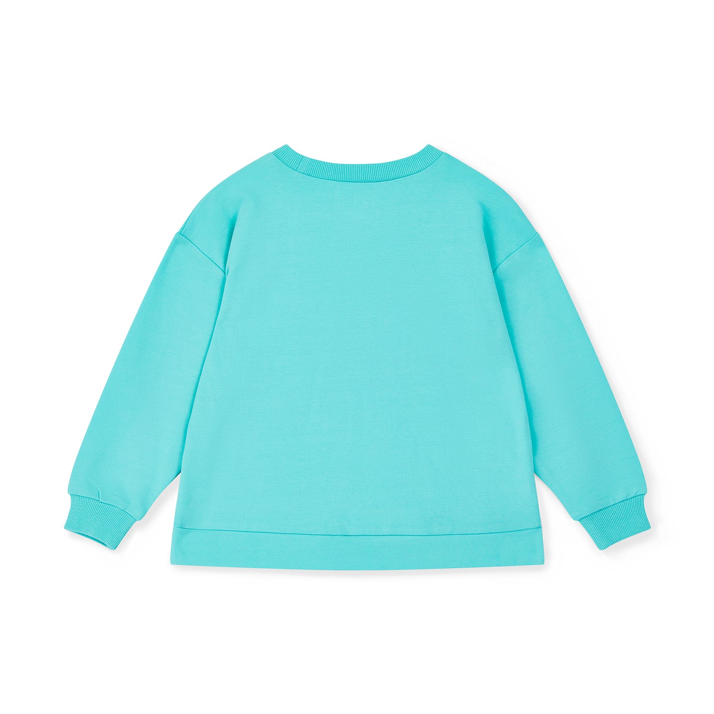 Bonini Core Bold Mint Sweater