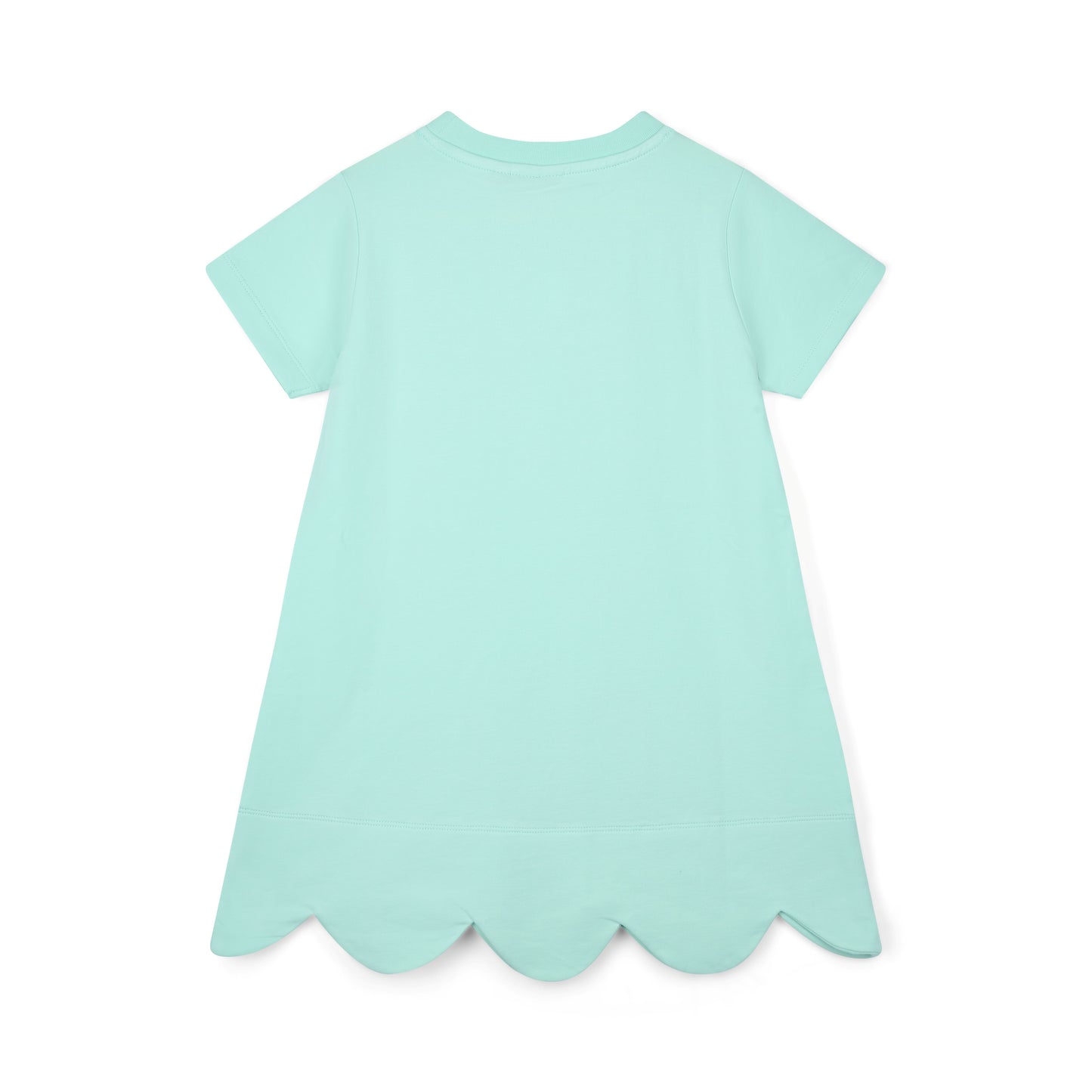 A Dee Regina Mint Handbag Dress