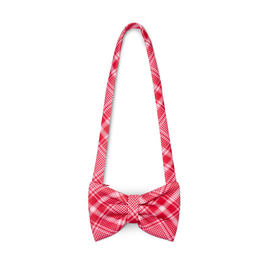 A Dee Laura Red Check Bag