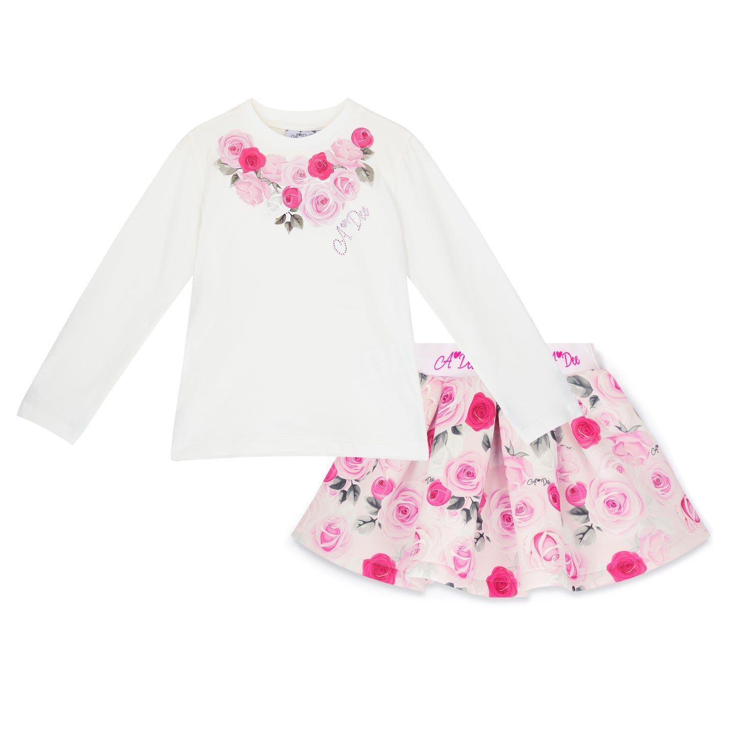 A Dee Ariella Pink Rose Print Skirt Set